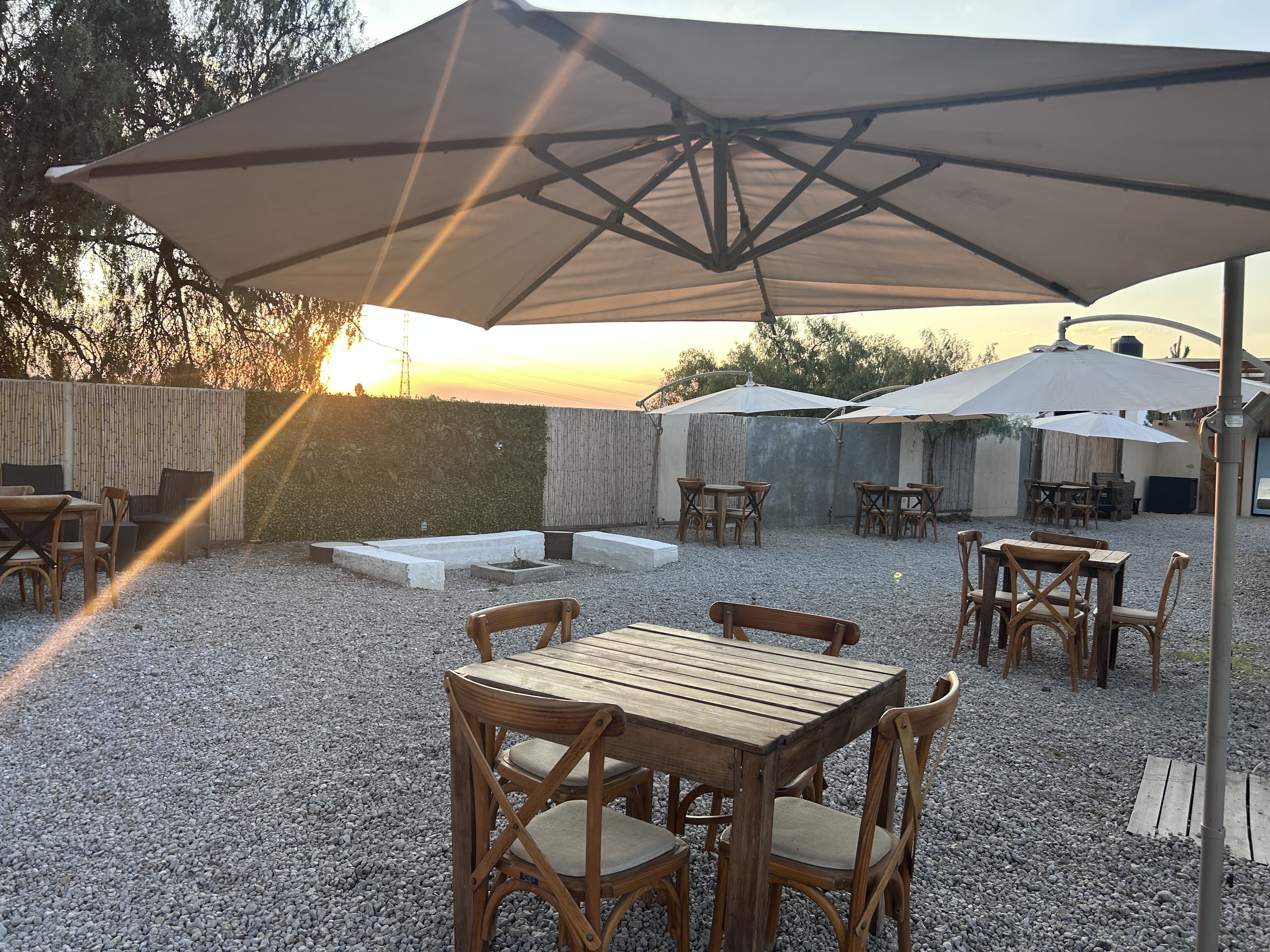 terraza terraneo